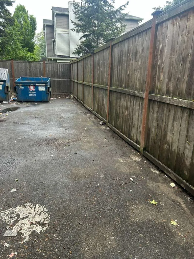 Outdoor property area cleared after junk removal service