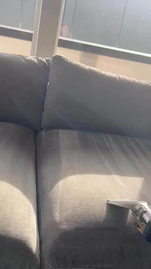 Close-up of professional sofa upholstery cleaning in progress